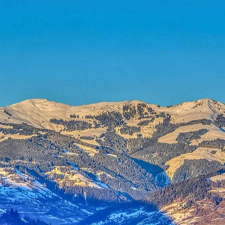 公寓 Haus Kitzsteinhorn 7 - By Alpen *