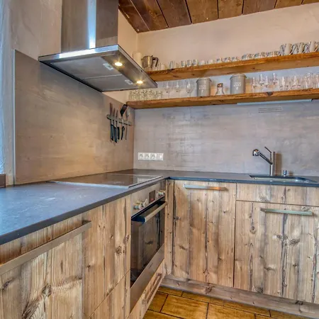 公寓 Haus Kitzsteinhorn 7 - By Alpen *