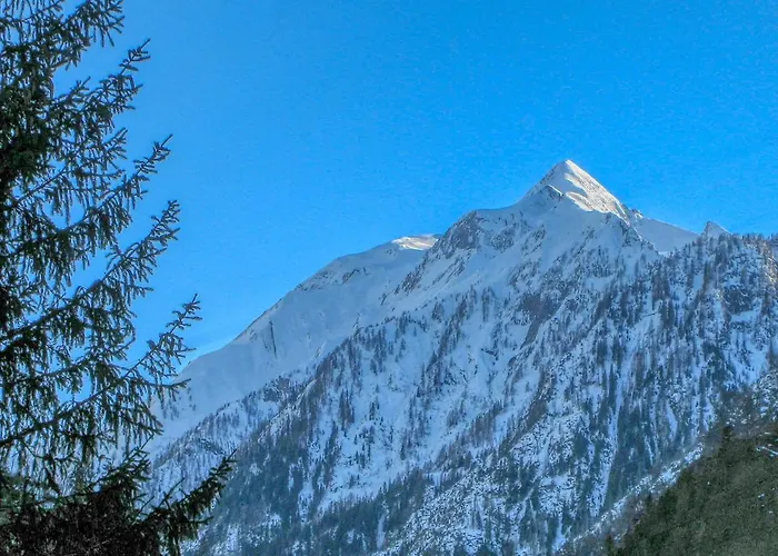 Haus Kitzsteinhorn 7 - By Alpen