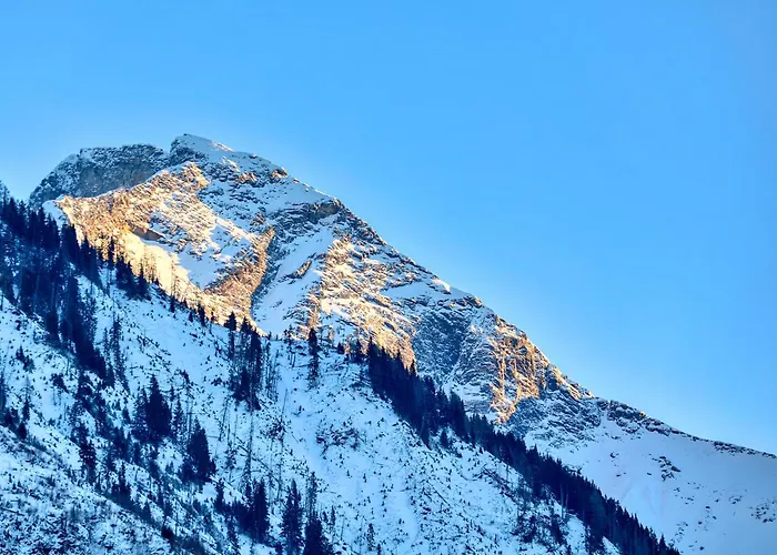 Haus Kitzsteinhorn 7 - By Alpen Lejlighed *